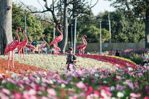 BIB: 
                            <button type="button" onclick="openModal(27344306)" class="btn btn-primary btn-sm float-right btn-popup" data-toggle="modal" data-target=".modal-high-quality">
                        <i class="fas fa-shopping-cart"></i> Add to Cart
                    </button>
                                            <button type="button" onclick="isThisMe(27344306, true)" class="btn btn-success btn-sm float-right btn-popup btn-isme hidden" data-toggle="tooltip" data-placement="bottom" title="นี่คือรูปของคุณใช่ไหม คลิกที่นี่เพื่อเอาเข้าอัลบั้ม">
                        <i class="fas fa-plus"></i> Add to album
                    </button>
                    <button type="button" onclick="isThisMe(27344306, false)" class="btn btn-warning btn-sm float-right btn-popup btn-isnotme hidden">
                        <i class="fas fa-ban"></i> Remove from album
                    </button>